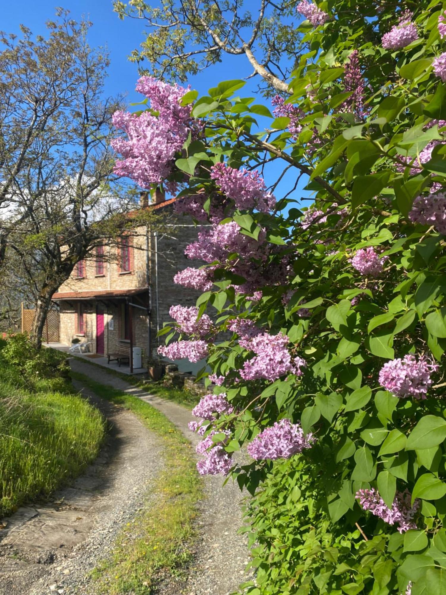 ベルチェート La Lupa E L'Orso Bed & Breakfast エクステリア 写真